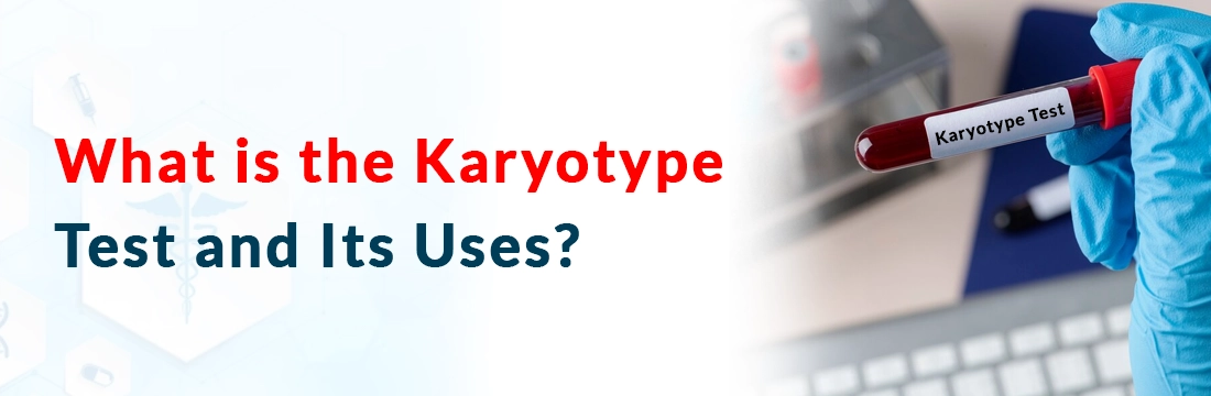  What is the Karyotype Test and Its Uses?